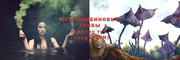 а пвп мука Алзамай
