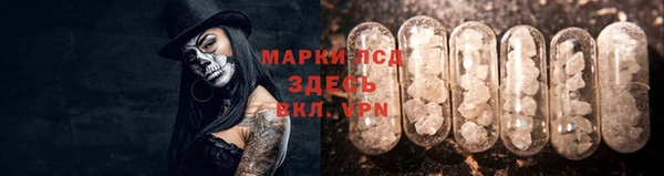 крисы Алексин